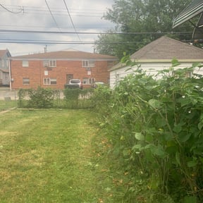 Bush Trimming by Greenblade Mowing reviewed on November 24, 2024