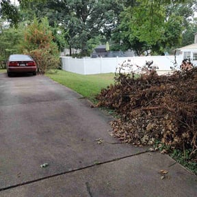 Bush Trimming by Michigan yard boss reviewed on November 8, 2021