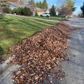 Leaf Removal by Rody & Mel's Landscaping reviewed on October 8, 2021