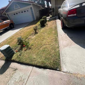 Bush Trimming by Cavender Landscaping reviewed on May 3, 2022
