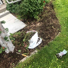 Weed Pulling by WLC Lawn Care reviewed on April 30, 2025