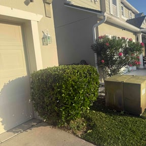 Bush Trimming by Aura lawn pros reviewed on October 4, 2022