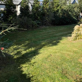 Leaf Removal by High Quality Landscaping reviewed on October 11, 2024