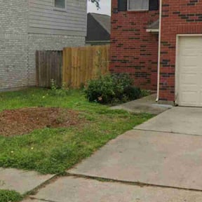 Bush Trimming by The A Team lawn Service reviewed on May 11, 2022