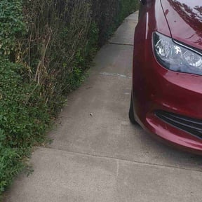 Weed Pulling by Backbreakers LLC reviewed on May 8, 2025