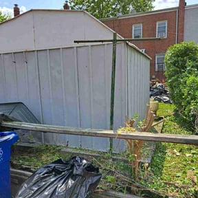 Bush Trimming by Complete Lawn Care reviewed on October 27, 2022