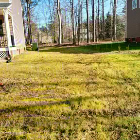 Leaf Removal by Household Maintenance &amp; Lawn Care Services reviewed on December 14, 2024