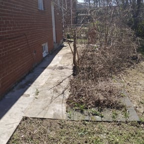 Bush Trimming by Enclave Landscape Management reviewed on April 16, 2022