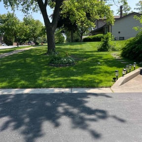 Lawn Seeding by Harry Russell reviewed on June 14, 2025