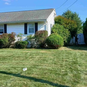 Bush Trimming by Billy Foster reviewed on August 2, 2022