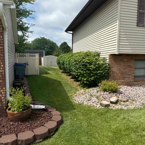 Bush Trimming by Q&R landscaping solutions reviewed on May 2, 2022