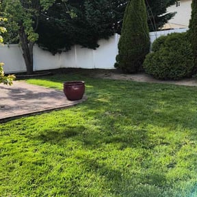 Leaf Removal by Vault Landscapes reviewed on June 21, 2022