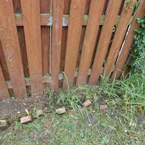 Flower Bed Weeding by One Leaf reviewed on November 30, 2021