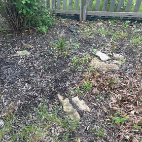 Flower Bed Weeding by Cornerstone Properties and Rentals reviewed on July 17, 2022