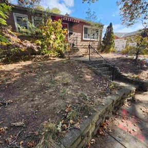 Leaf Removal by TruGreen LawnCare reviewed on June 11, 2025