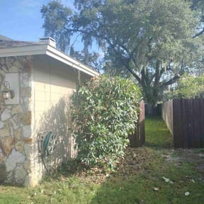 Bush Trimming by OC Lawn Care Services reviewed on March 13, 2025