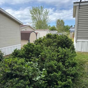 Bush Trimming by Yanez Brothers Landscaping reviewed on August 4, 2022