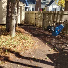 Leaf Removal by TruGreen LawnCare reviewed on August 29, 2024