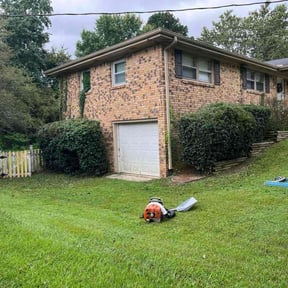 Bush Trimming by Court Landscaping reviewed on April 8, 2025