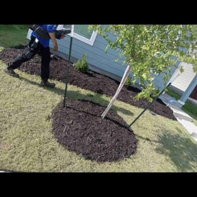 Mulching by Arroyo Lawn Service reviewed on July 5, 2022