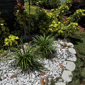 Flower Bed Weeding by Brown and Sons Construction LLC reviewed on May 14, 2022