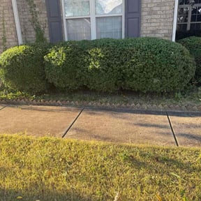 Bush Trimming by JohnRobert Lawn&Garden reviewed on May 2, 2022