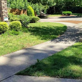 Bush Trimming by NW ideal implement llc reviewed on June 22, 2022