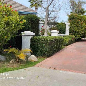 Bush Trimming by Andrews Landscaping reviewed on July 31, 2022