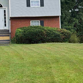 Bush Trimming by Smoove Service reviewed on June 30, 2025