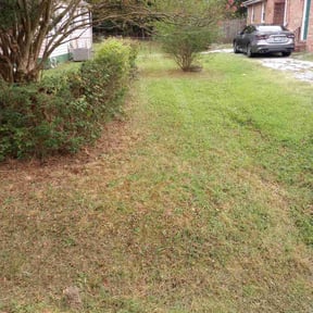 Bush Trimming by Alux rental’s LLC reviewed on November 28, 2022
