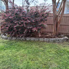 Leaf Removal by J Jr’s Lawn Maintenance reviewed on March 21, 2022