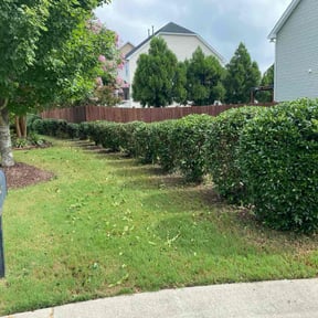 Bush Trimming by Hy-C efficiency services reviewed on June 10, 2025
