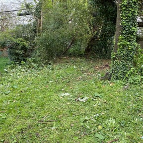 Leaf Removal by Gourley Greenery reviewed on July 9, 2020