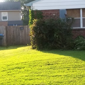 Bush Trimming by Superior Lawn Pros LLC reviewed on January 4, 2025