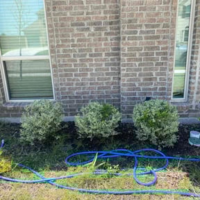 Bush Trimming by Lonestar Landscaping group reviewed on May 8, 2025