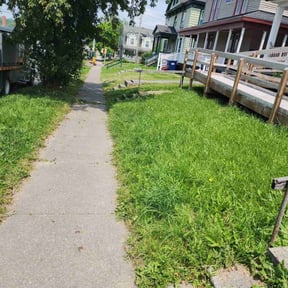 Leaf Removal by Eusons Property Renovations reviewed on October 14, 2022
