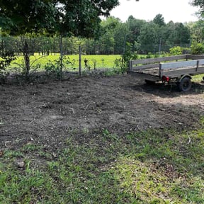 Cleanups by Hammond Lawn Care reviewed on June 7, 2025