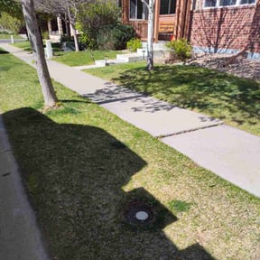 Bush Trimming by Pearcy and Sons Contracting reviewed on June 20, 2024