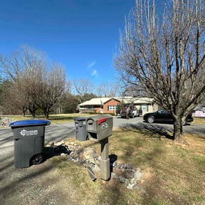 Leaf Removal by Morel Lawn & tree service reviewed on July 26, 2022