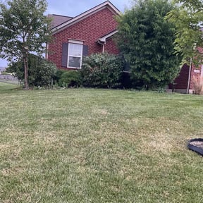 Bush Trimming by Dr.GreenKeeper Lawn Care reviewed on May 23, 2022