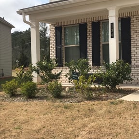 Bush Trimming by Second Glance Landscaping LLC reviewed on April 17, 2025