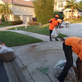 Leaf Removal by Orlando Palms reviewed on October 18, 2024