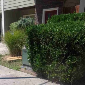 Bush Trimming by R J Lawn Care reviewed on July 15, 2020