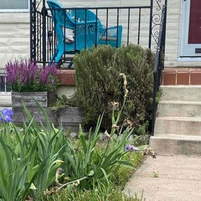 Bush Trimming by Clean & Clear lawncare reviewed on August 31, 2021