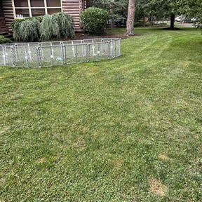 Bush Trimming by Rios Enterprise Lawn Mowing Services LLC reviewed on April 26, 2022