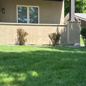 Bush Trimming by Mills Landscaping reviewed on June 10, 2022