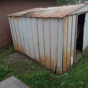 Weeding by LSLTDallas/FortWorthTruGreen reviewed on March 19, 2024