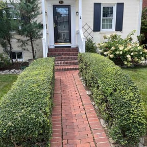 Bush Trimming by Escobar's Landscaping reviewed on October 30, 2022
