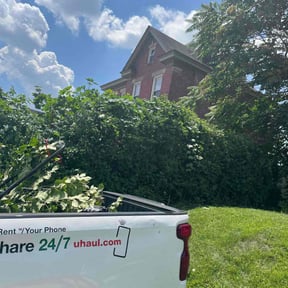 Bush Trimming by Steve's Lawn Care reviewed on May 21, 2025