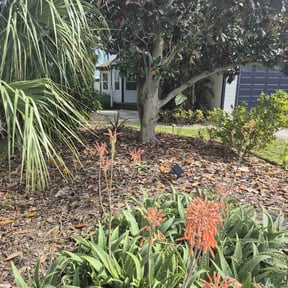 Flower Bed Weeding by Cutting Edge Lawn Care and Tree Service reviewed on June 30, 2022